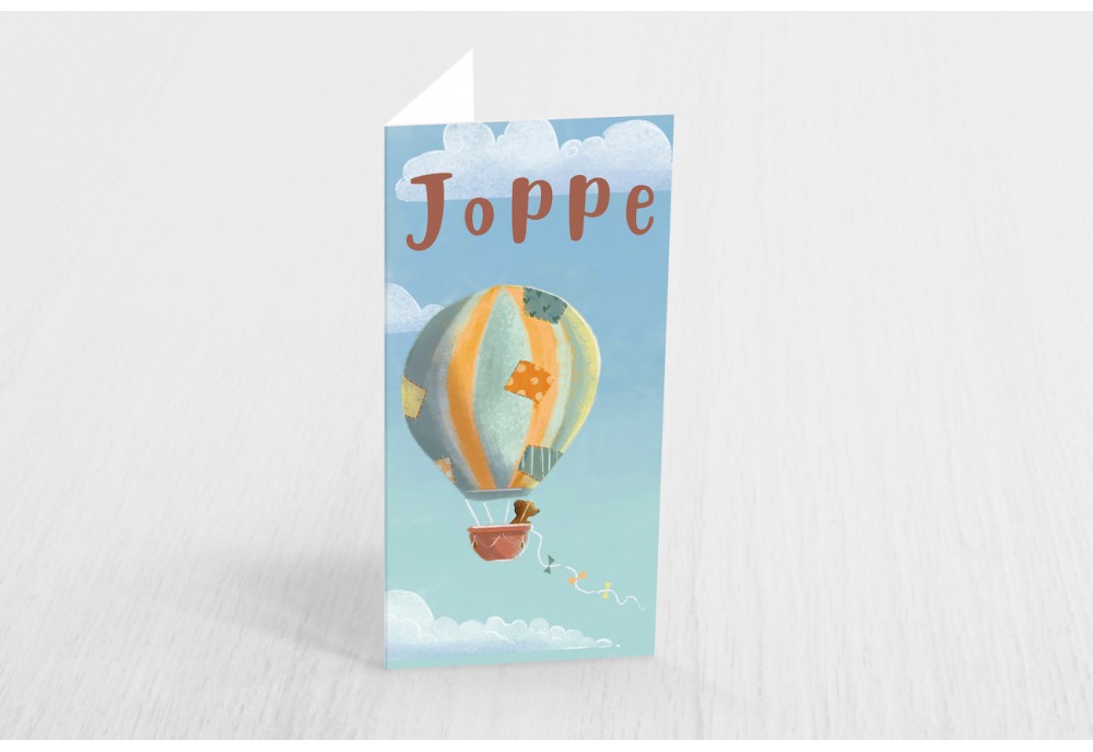 Luchtballon met beer